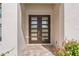 Modern double front doors with glass panels at 15136 Hennipen Cir, Port Charlotte, FL 33981