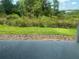 View of a lush backyard and mature trees from the lanai at 16030 10Th E Ave, Bradenton, FL 34212