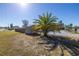 Large backyard with a shed and palm trees at 7430 Buchanan Dr, Port Richey, FL 34668