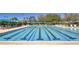 Resort-style pool with lap lanes and comfortable seating at 17929 Timber View St, Tampa, FL 33647