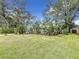 Spacious front yard with mature trees and well-manicured lawn at 2358 Havana Dr, Clearwater, FL 33764