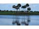 Calm lake reflecting palm trees, a peaceful scene at 23503 Waverly Cir, Venice, FL 34293