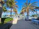 Relaxing pool area with palm trees and lounge chairs at 23503 Waverly Cir, Venice, FL 34293