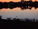 Silhouette of heron at sunset over lake at 23503 Waverly Cir, Venice, FL 34293