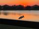 Silhouette of wood stork at sunset over lake at 23503 Waverly Cir, Venice, FL 34293