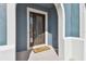 Inviting front door with decorative glass and a 'Welcome' mat at 4383 Ortona Ln, Wesley Chapel, FL 33543