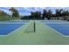 Well-maintained tennis and pickleball courts at 6334 Spring Flower Dr # 15, New Port Richey, FL 34653