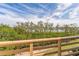 Beautiful view of the backyard with a tree-lined bay visible from the deck, showing foliage and blue sky at 1710 Lighthouse S Ter # 1, South Pasadena, FL 33707