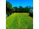 A large, green backyard with a well-maintained lawn at 1710 Lighthouse S Ter # 1, South Pasadena, FL 33707