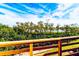 Balcony view with lush greenery and trees and a glimpse of a water view in the distance at 1710 Lighthouse S Ter # 1, South Pasadena, FL 33707
