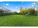 Expansive grassy backyard bordered by trees and a fence at 18017 Pine Hammock Blvd, Lutz, FL 33548