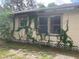 Side view of tan house with vines at 3107 N 24Th St, Tampa, FL 33605