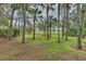 Backyard view with lush greenery, palm trees, and a glimpse of the golf course at 3922 Cedar Cay Cir, Valrico, FL 33596