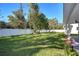 Backyard with white vinyl fence and green grass at 515 Elm St, Safety Harbor, FL 34695