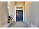Elegant dark blue front door entryway with sidelights at 11217 Avery Oaks Dr, Tampa, FL 33625
