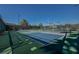 Two well-maintained pickleball courts at 29417 Caddyshack Ln, San Antonio, FL 33576