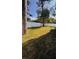 Wide open backyard with new vinyl fencing offers privacy and green space at 1102 W Charter St, Tampa, FL 33602