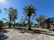 Landscaped circular driveway with a prominent palm tree at 5329 Richey Dr, New Port Richey, FL 34652