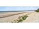 Expansive beach view showcasing sand, water and distant figures at 1000 Gulf Blvd # 302, Indian Rocks Beach, FL 33785