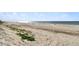 Expansive beach view showcasing sand, water and distant figures at 1000 Gulf Blvd # 302, Indian Rocks Beach, FL 33785