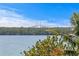 Scenic water view featuring lush greenery and a distant bridge under a clear blue sky at 6189 Leeland S St, St Petersburg, FL 33715