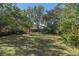 Private backyard oasis with expansive lawn and trees at 11315 N Ola Ave, Tampa, FL 33612