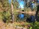 Peaceful view of a canal with lush vegetation at 11346 Grapefruit Ln, Punta Gorda, FL 33955