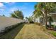 Private backyard with a grassy area and a tall wall for privacy at 2101 Sunset Wind Loop, Oldsmar, FL 34677