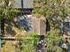 Aerial shot showcasing the home's layout, backyard, and proximity to surrounding trees at 3918 W Fig St, Tampa, FL 33609
