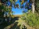 View of marsh and palm trees from backyard at 4021 Eagle Nest Dr, Hernando Beach, FL 34607