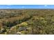 An aerial shot of a house surrounded by trees, showcasing its serene location at 6847 Evans Way, Wesley Chapel, FL 33544