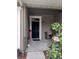 Small front porch with a black door, potted plants, and a holiday decoration at 8003 Bally Money Rd, Tampa, FL 33610