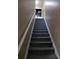 Gray carpeted staircase with white railings at 8003 Bally Money Rd, Tampa, FL 33610