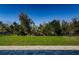 Expansive backyard featuring lush green grass and a beautiful view of the surrounding trees at 8319 Swiss Chard Cir, Land O Lakes, FL 34637