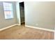 Simple bedroom with carpet, a window, and a peek into the walk-in closet at 8319 Swiss Chard Cir, Land O Lakes, FL 34637