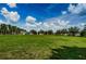 Expansive open field with lush green grass, palm trees, and blue sky, perfect for outdoor activities at 8319 Swiss Chard Cir, Land O Lakes, FL 34637
