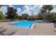 Community pool with comfortable lounge chairs and shade at 10817 Great Carlisle Ct, Riverview, FL 33578