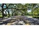 Canopy road lined with lush green trees in a community at 10817 Great Carlisle Ct, Riverview, FL 33578