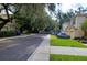 Street view showcasing houses with well-maintained lawns and tree canopies at 10817 Great Carlisle Ct, Riverview, FL 33578