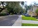Street view with manicured lawn and mature trees providing shade and curb appeal at 10817 Great Carlisle Ct, Riverview, FL 33578