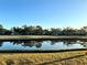 Picturesque pond reflecting the trees and homes, enhancing the serene community at 4452 Weybridge St # 74, Sarasota, FL 34235