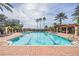 Resort-style pool with plenty of lounge chairs at 10628 Pontofino Cir, Trinity, FL 34655