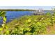 Private boat dock on calm waterway with lush vegetation at 1751 Hunter Creek Dr, Punta Gorda, FL 33982