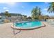 Relaxing kidney-shaped pool, surrounded by lounge chairs at 1403 Cordova Grn, Seminole, FL 33777
