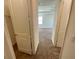 Carpeted hallway with doors to bedrooms and closets at 2119 Scholartree Way, Wesley Chapel, FL 33543