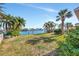Spacious backyard with lush grass, palm trees, and waterfront views at 219 Leeward Is, Clearwater Beach, FL 33767