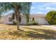 One-story house with palm tree and driveway at 3539 Rock Royal Dr, Holiday, FL 34691