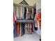 Well-organized walk-in closet with hanging rods and shelves for clothes at 5011 Sandy Brook Cir, Wimauma, FL 33598