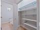 Bright white pantry with ample shelving for storage at 4522 Bay Spring Ct, Tampa, FL 33611