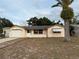 Ranch-style home with a beige exterior, a neatly mowed lawn, and a palm tree in the front yard at 10820 Queens Rd, Port Richey, FL 34668